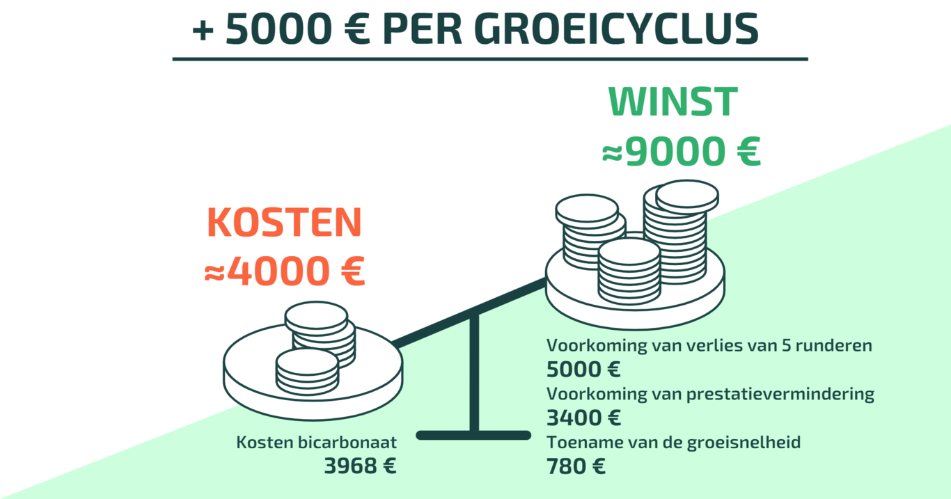 Balance dutch