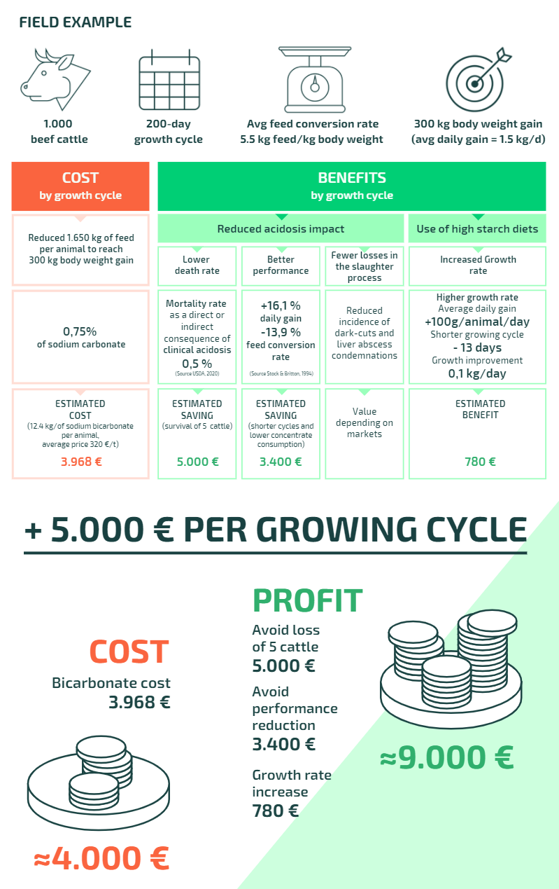 Cost benefit analysis EN