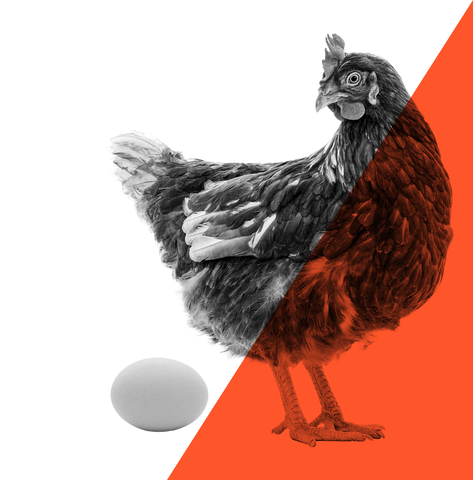 BicarZ for laying hens and poultry