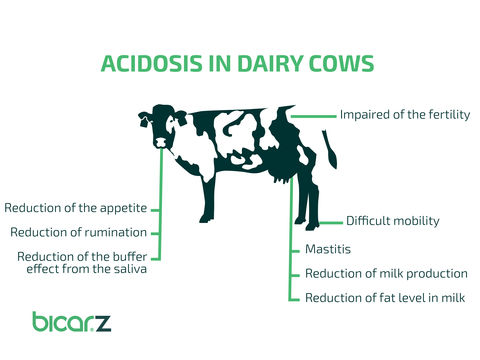 BicarZ Acidosis in dairy cow 2020 EN